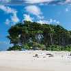 Andamans-Traveldilse.com